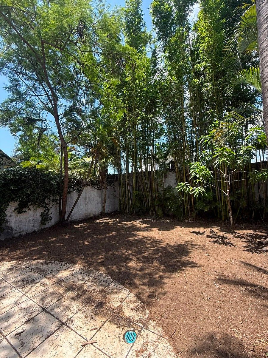 Casa em Floresta, Veracruz, foto 8 de 33