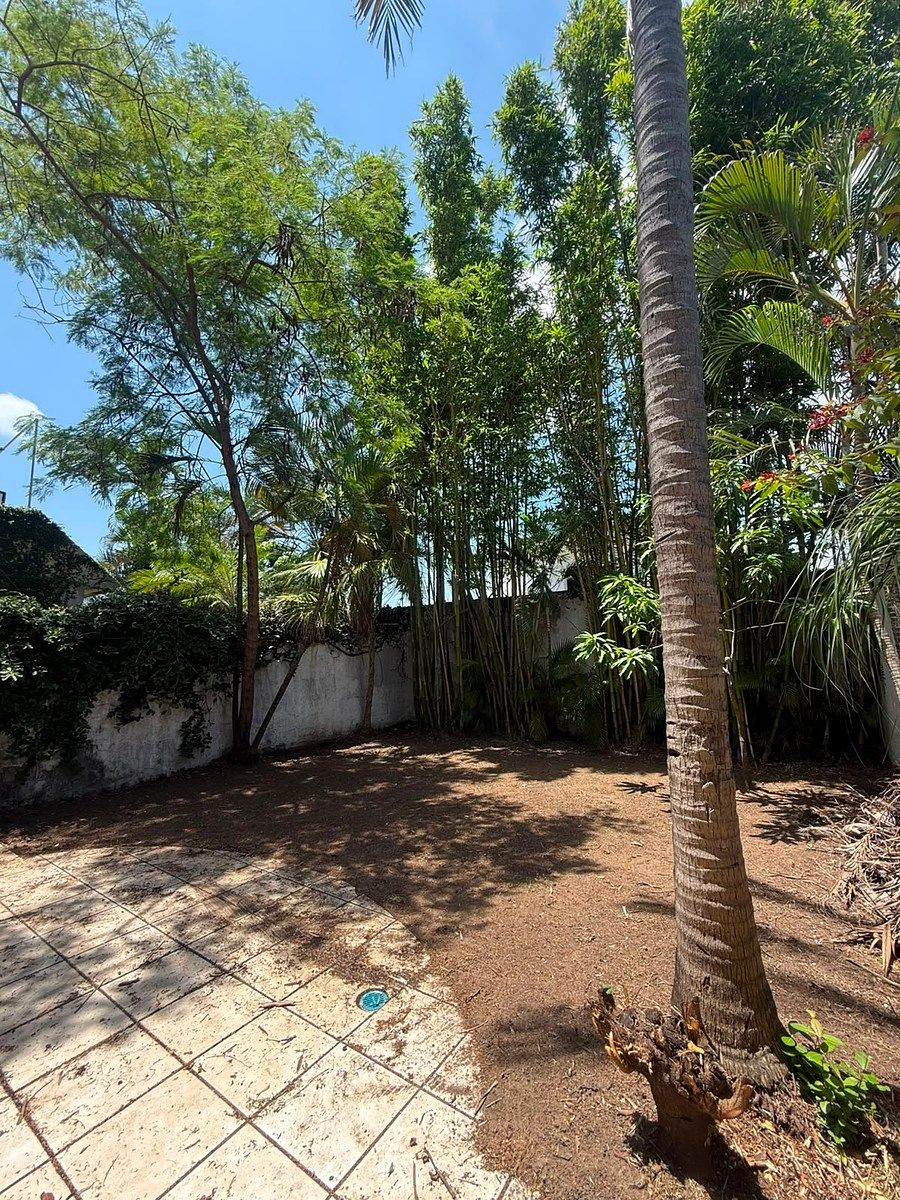 Casa em Floresta, Veracruz, foto 10 de 33