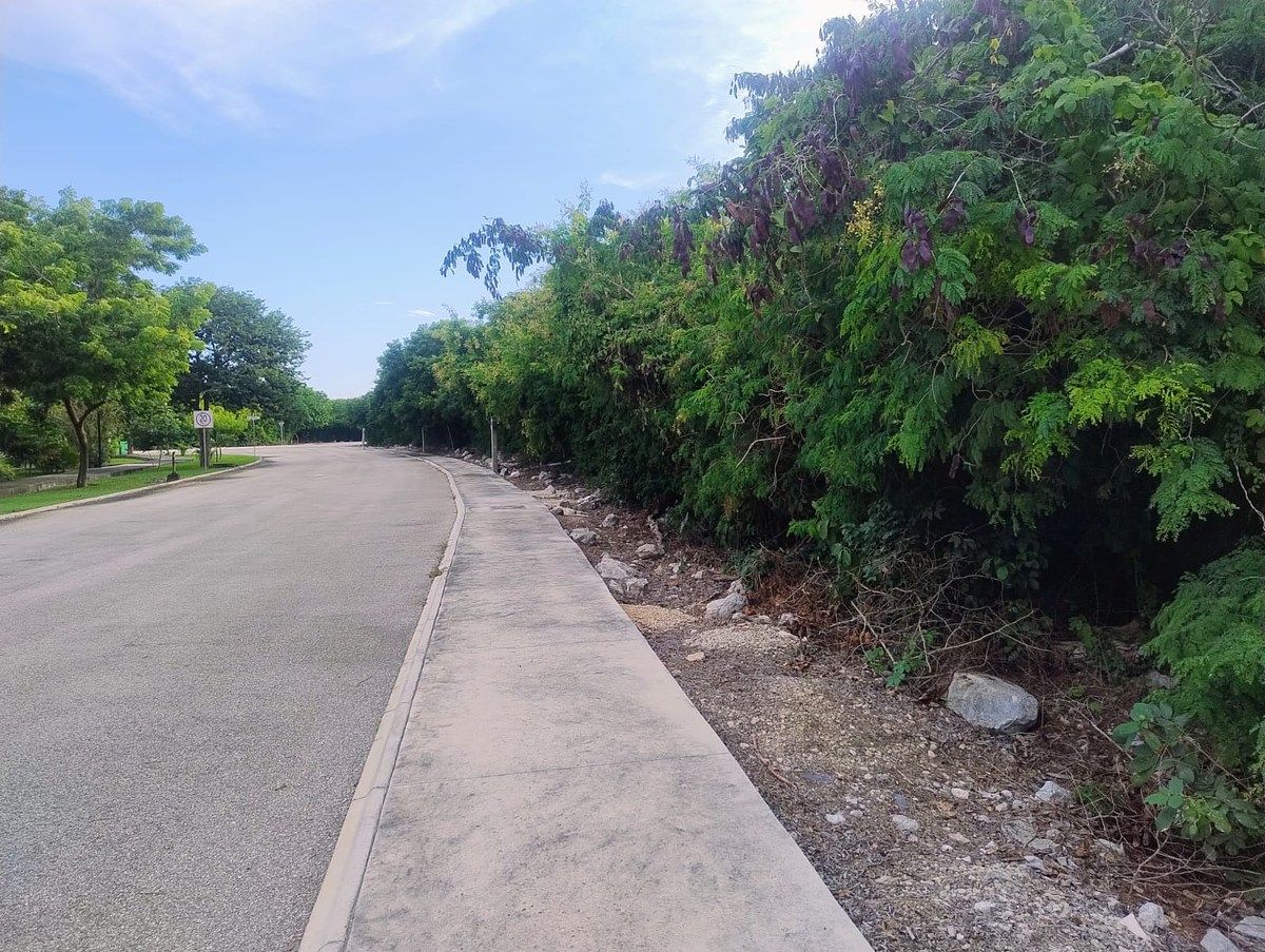 Lote em Jardines de Rejoyada, Mérida, foto 3 de 9