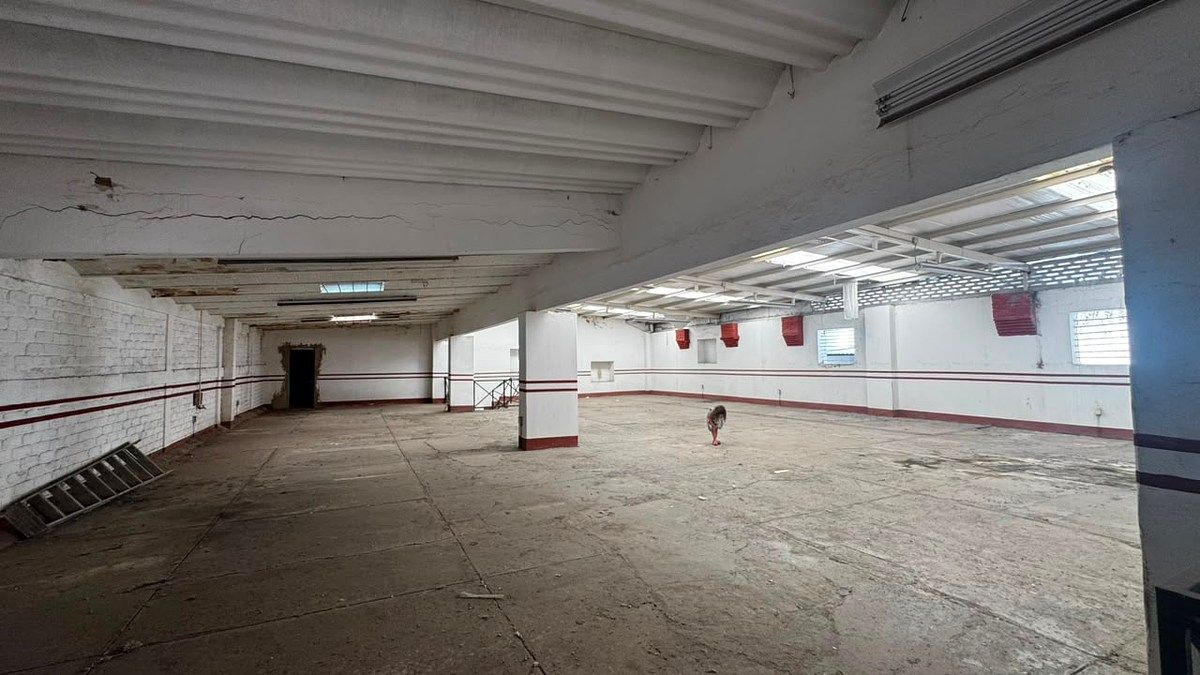 Commercial Storage Unit in El Retiro, Guadalajara, photo 8 of 18