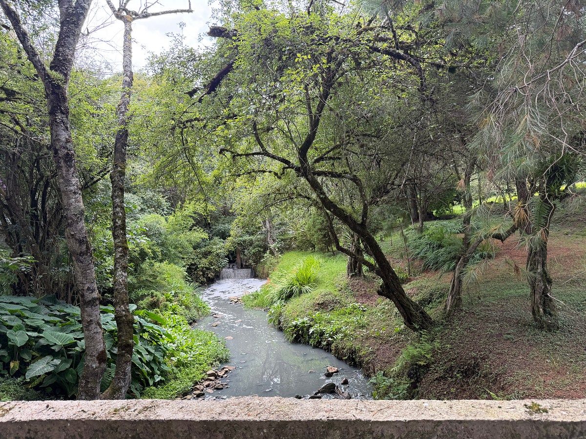 Lot in La Quinta, San Cristóbal de Las Casas, photo 9 of 9