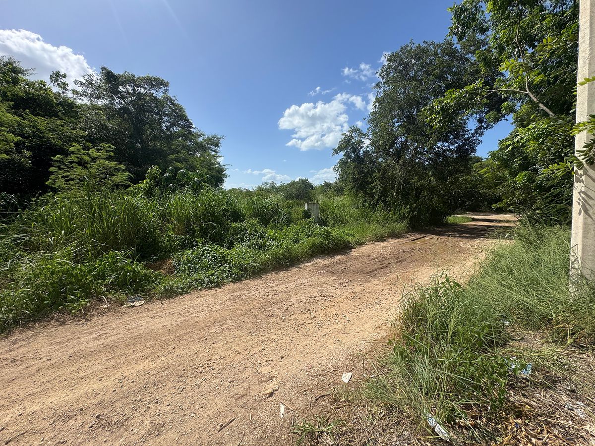 Terreno en Tixcuytún, Mérida, foto 15 de 17