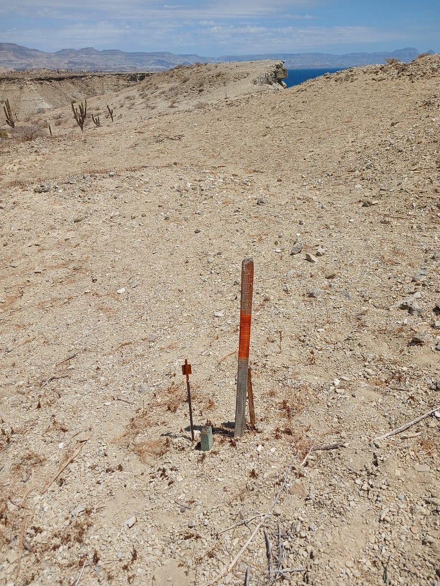 Terreno en Ley Federal de Aguas No 2, Comondú, foto 36 de 50