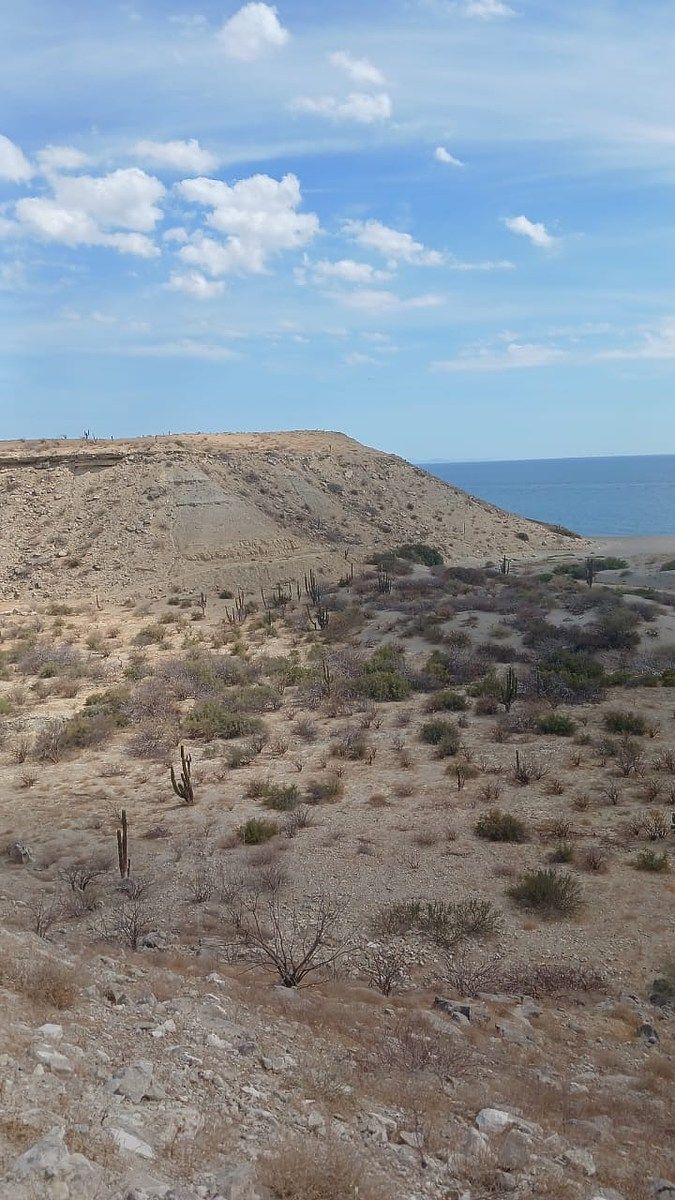 Terreno en Ley Federal de Aguas No 2, Comondú, foto 44 de 50