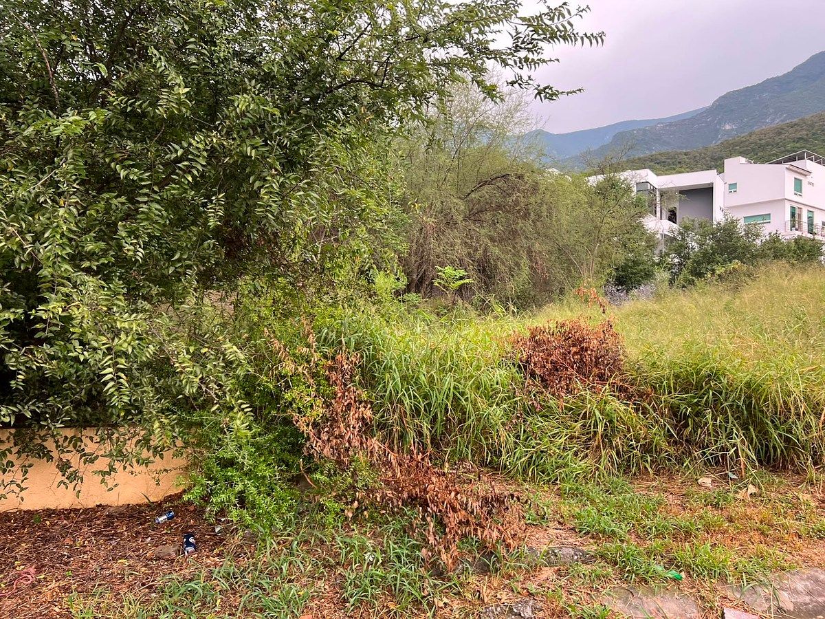 Lote em Rincón de Sierra Alta, Monterrey, foto 7 de 19