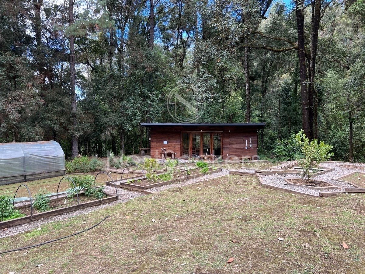 Casa en San Juan, Amanalco, foto 6 de 50