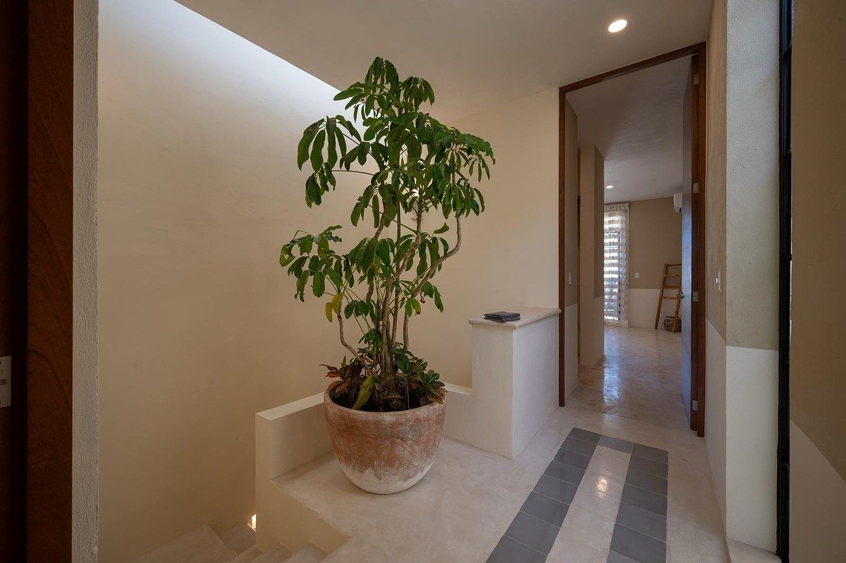 Casa em Mérida Centro, Mérida, foto 15 de 18