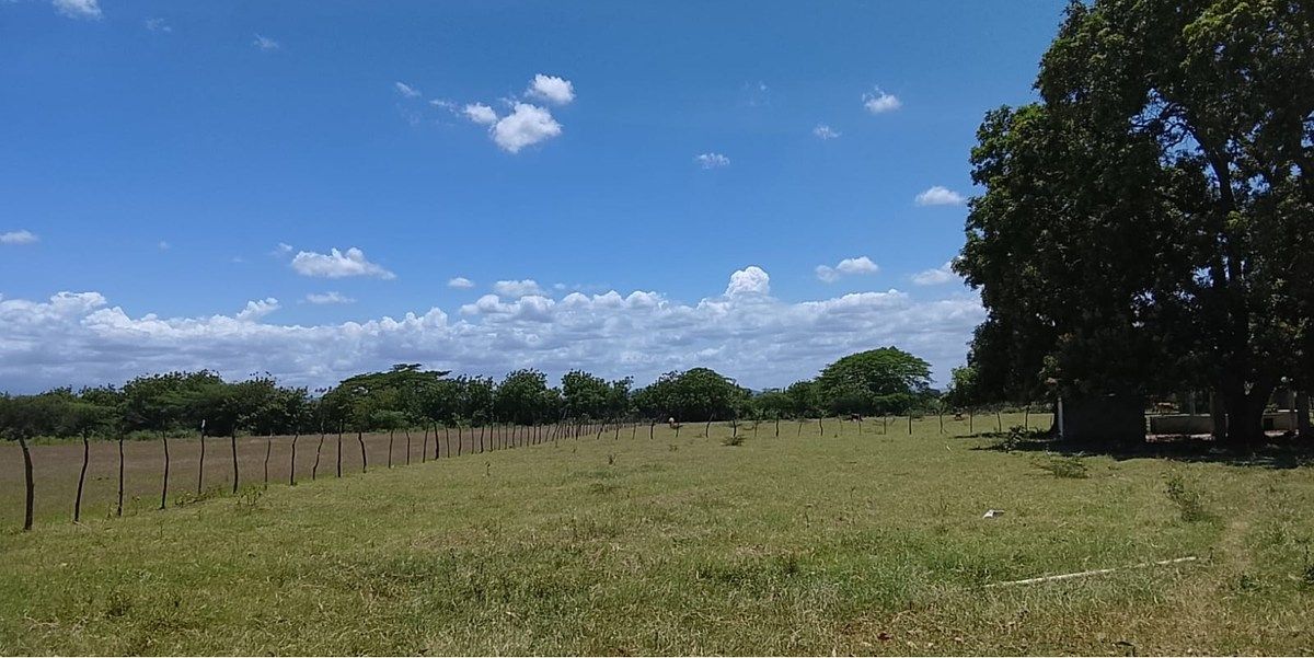 Finca 100 Tareas en Valverde, foto 1 de 1
