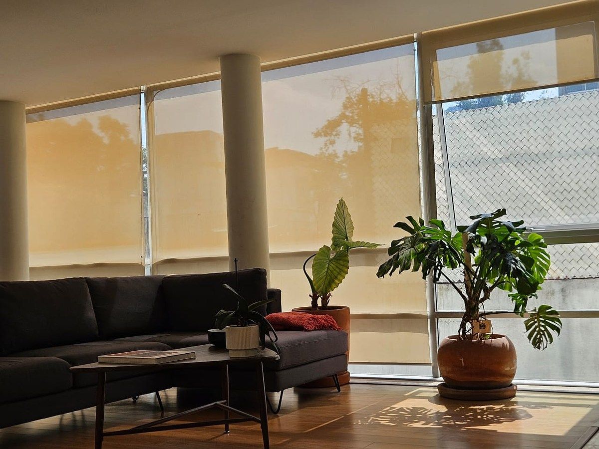 Apartment in Lomas de Chapultepec I Sección, Miguel Hidalgo, photo 5 of 29