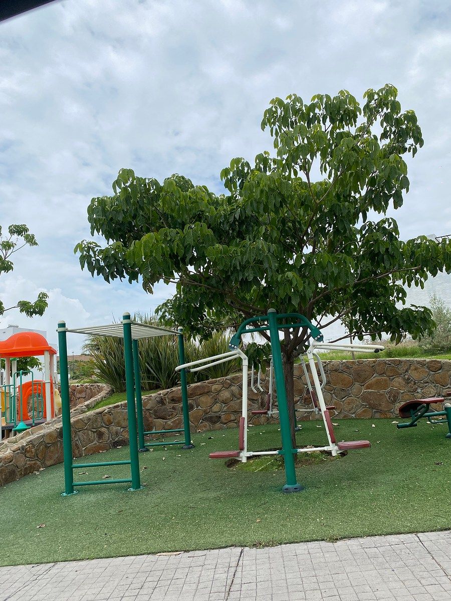 Lote em Senderos de Monte Verde, Tlajomulco de Zúñiga, foto 2 de 3
