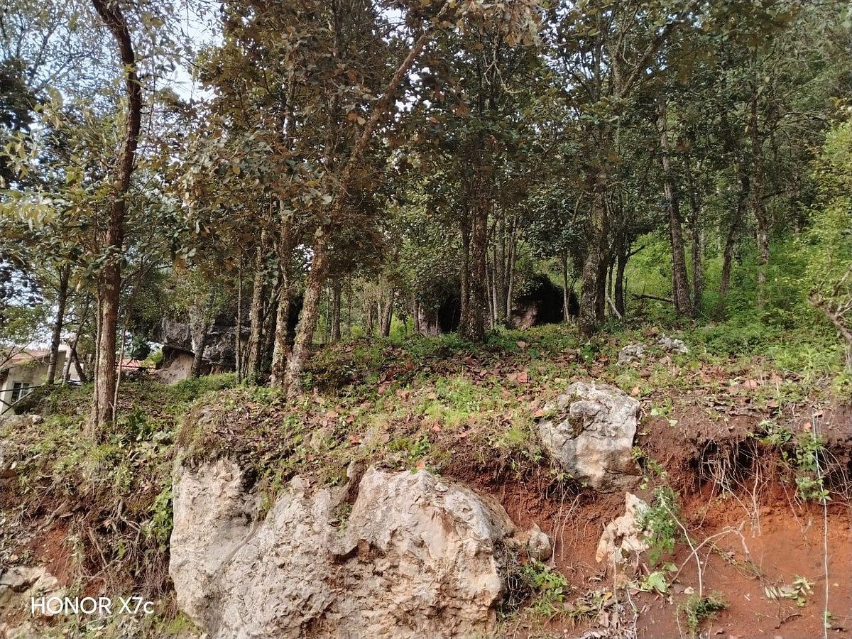 Lot in Del Santuario, San Cristóbal de Las Casas, photo 2 of 6