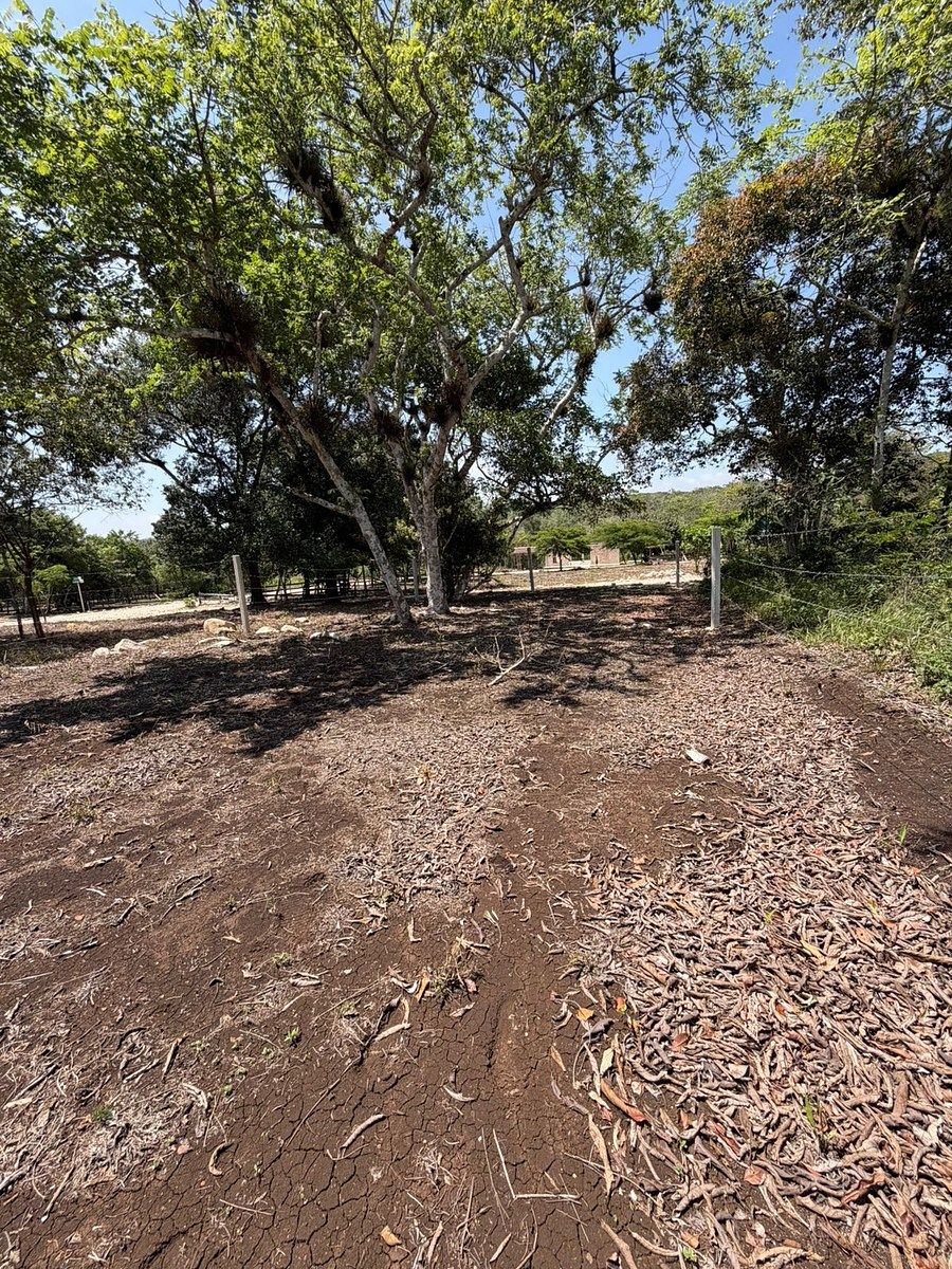 Terreno en Ocozocoautla de Espinosa Centro, Ocozocoautla de Espinosa, foto 4 de 10