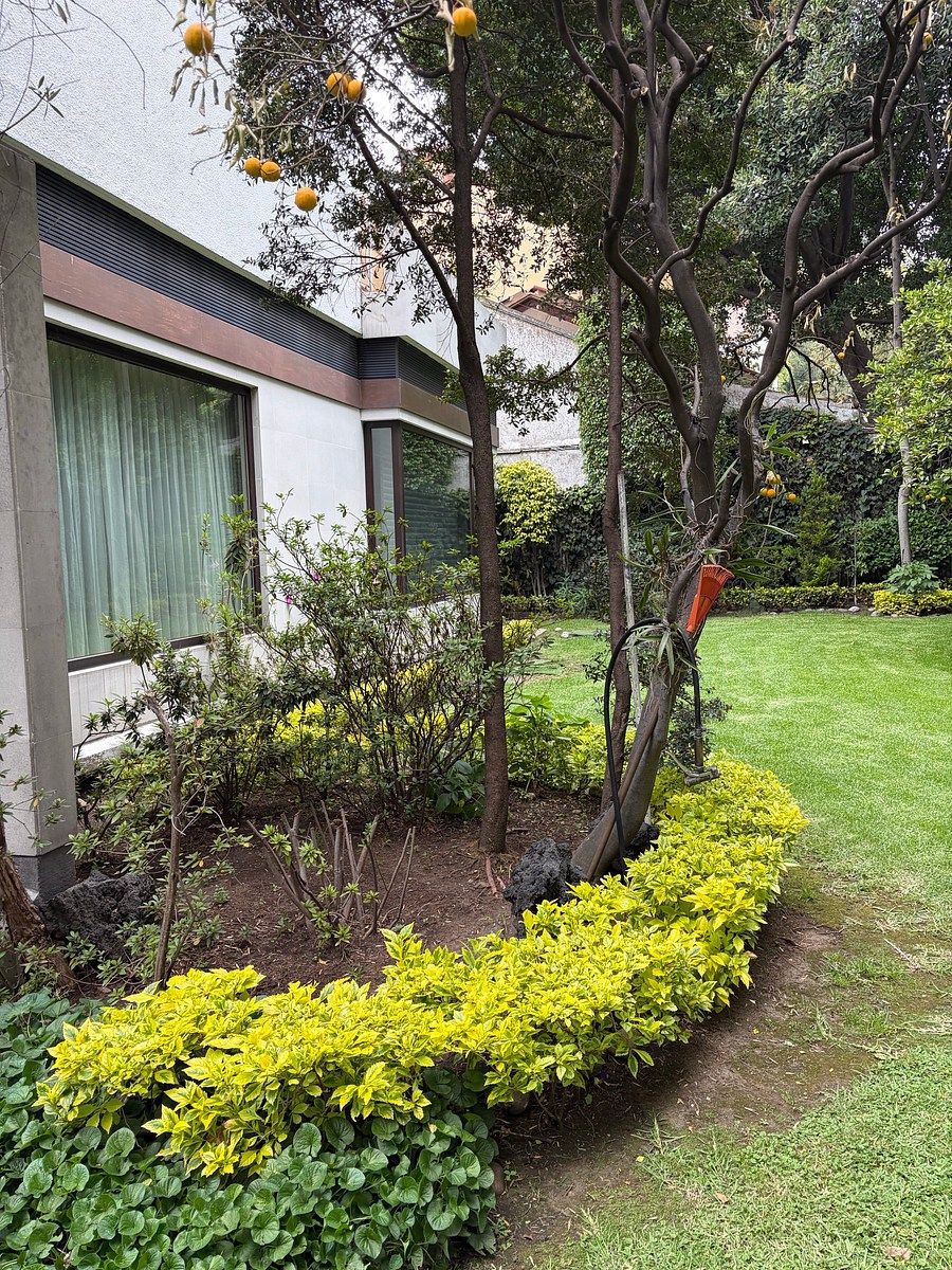 Casa em Lomas de Chapultepec VII Sección, Miguel Hidalgo, foto 9 de 48