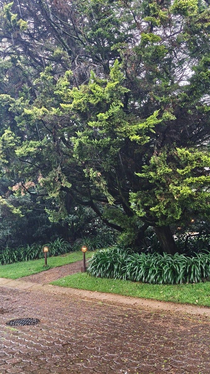 House in Gated Community in Parques de la Herradura, Huixquilucan, photo 12 of 12