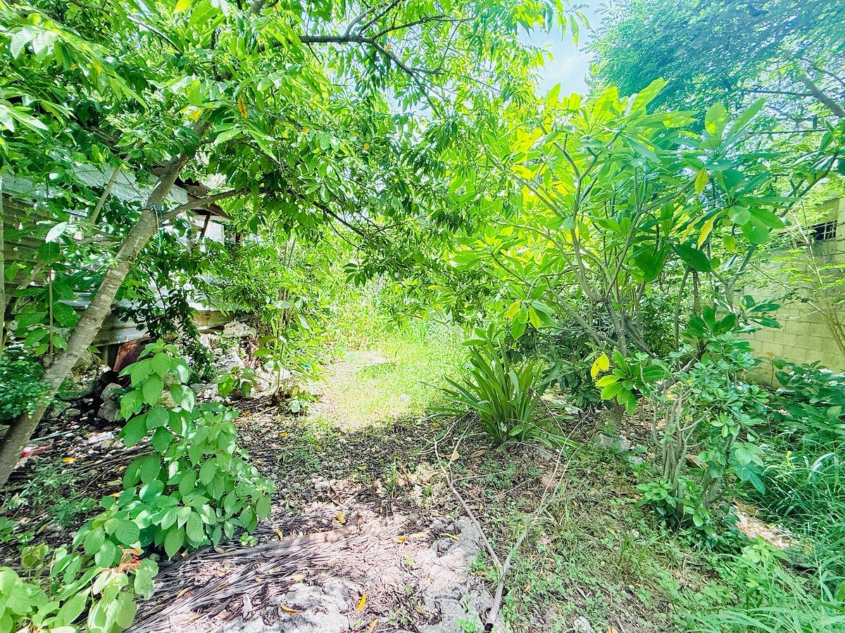 Lote em El Porvenir, Mérida, foto 5 de 6
