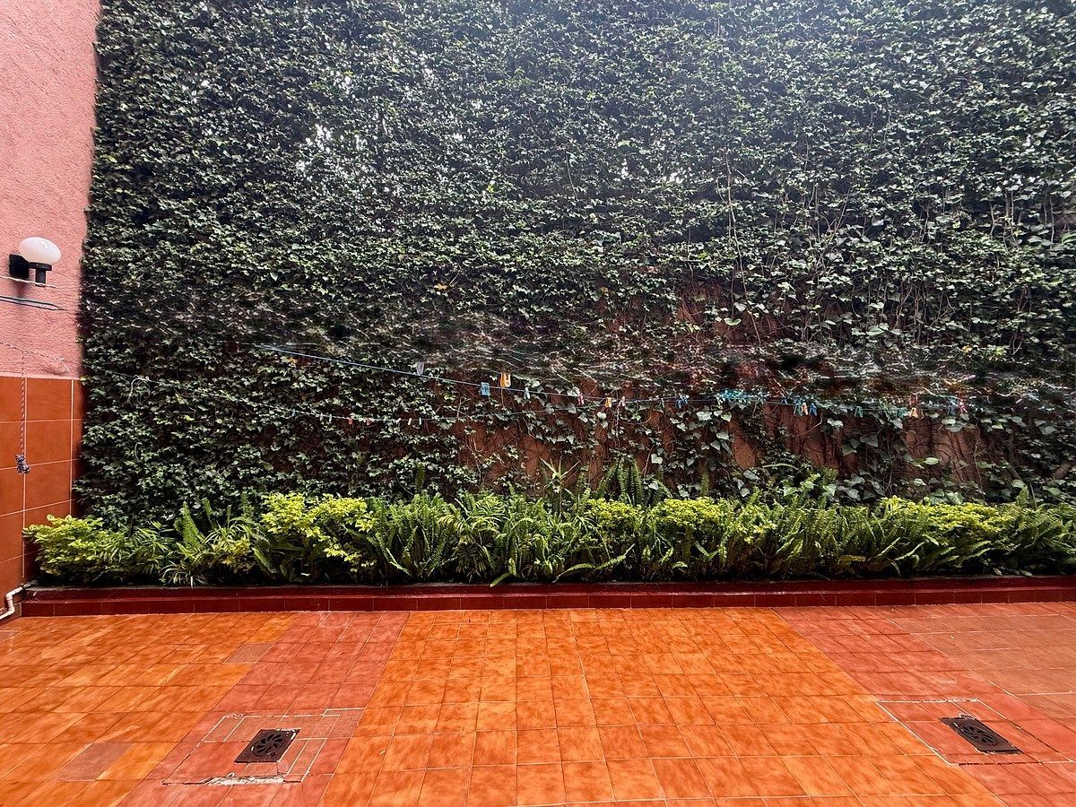House in Lomas de Virreyes, Miguel Hidalgo, photo 12 of 42