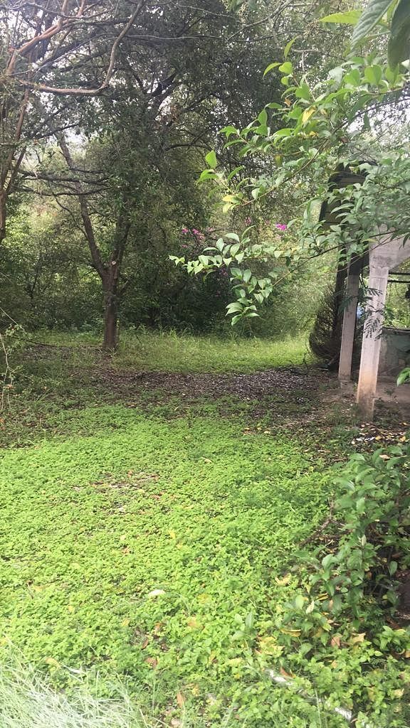 TERRENO À VENDA EL ÁLAMO SANTIAGO, foto 1 de 7