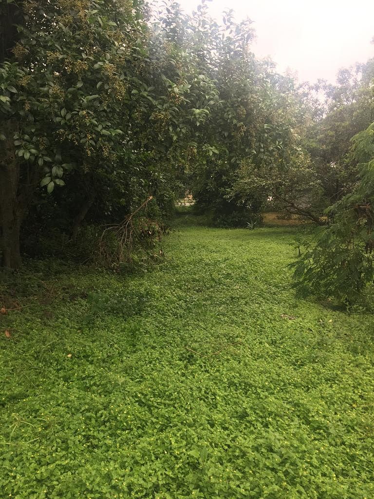 Lote comercial em San Pedro El Álamo, Santiago, foto 7 de 7