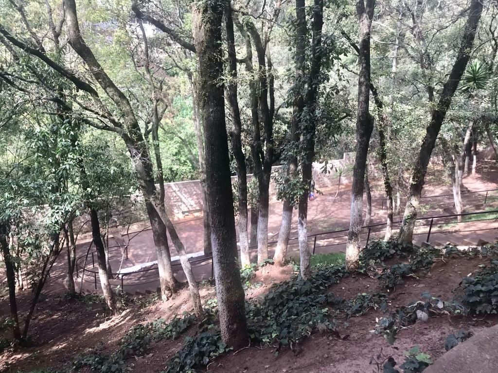 Apartamento em El Yaqui, Cuajimalpa de Morelos, foto 42 de 43
