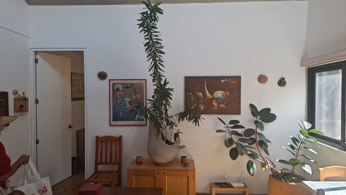 Departamento en San Juan, Benito Juárez, foto 3 de 19