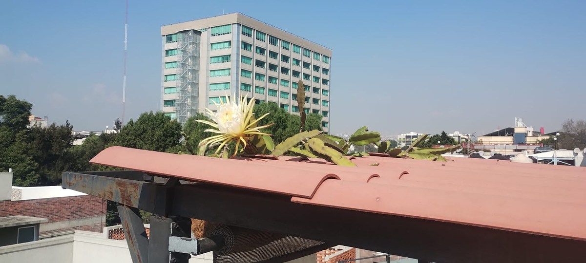Departamento en San Juan, Benito Juárez, foto 4 de 19