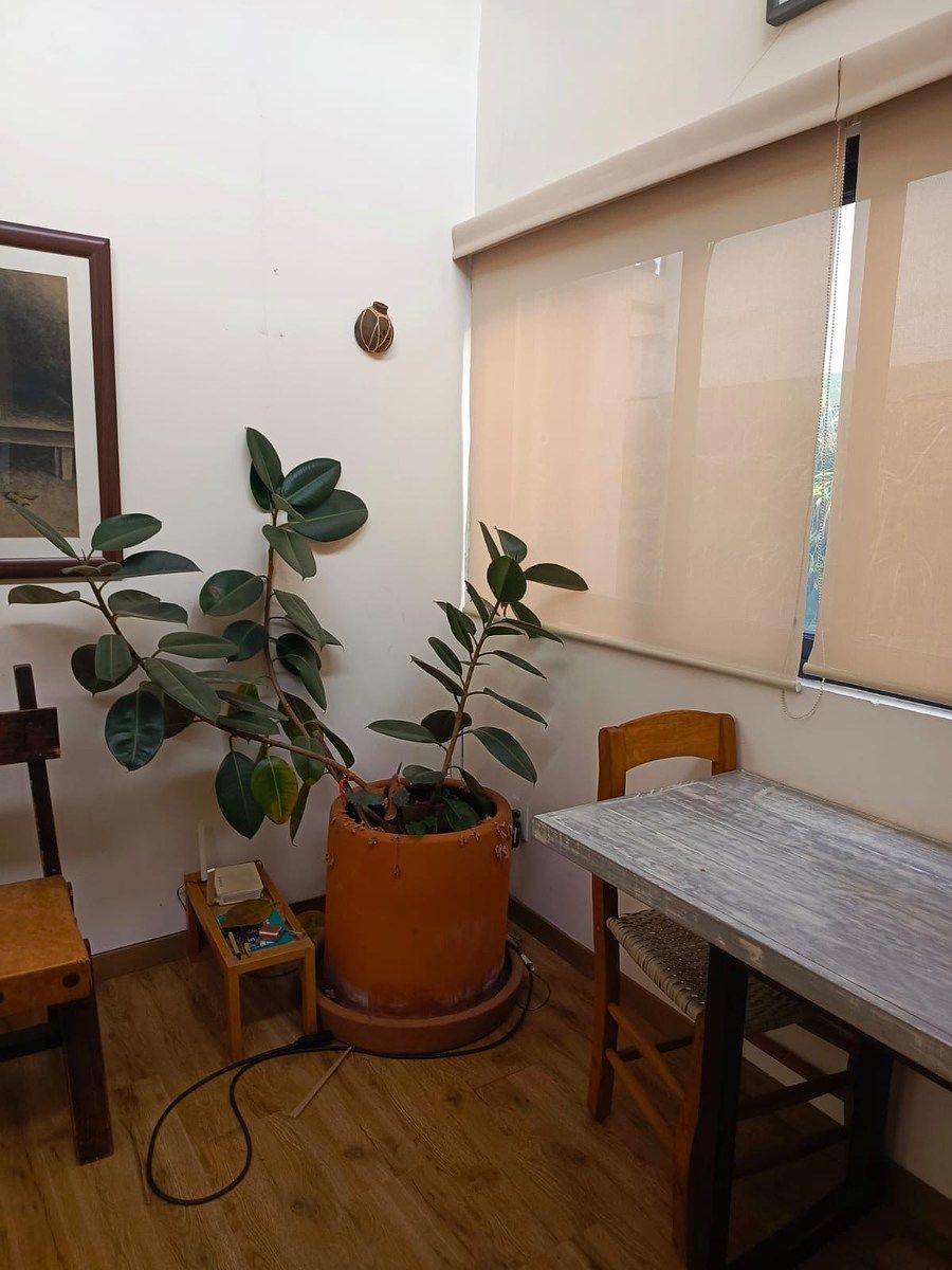 Departamento en San Juan, Benito Juárez, foto 8 de 19