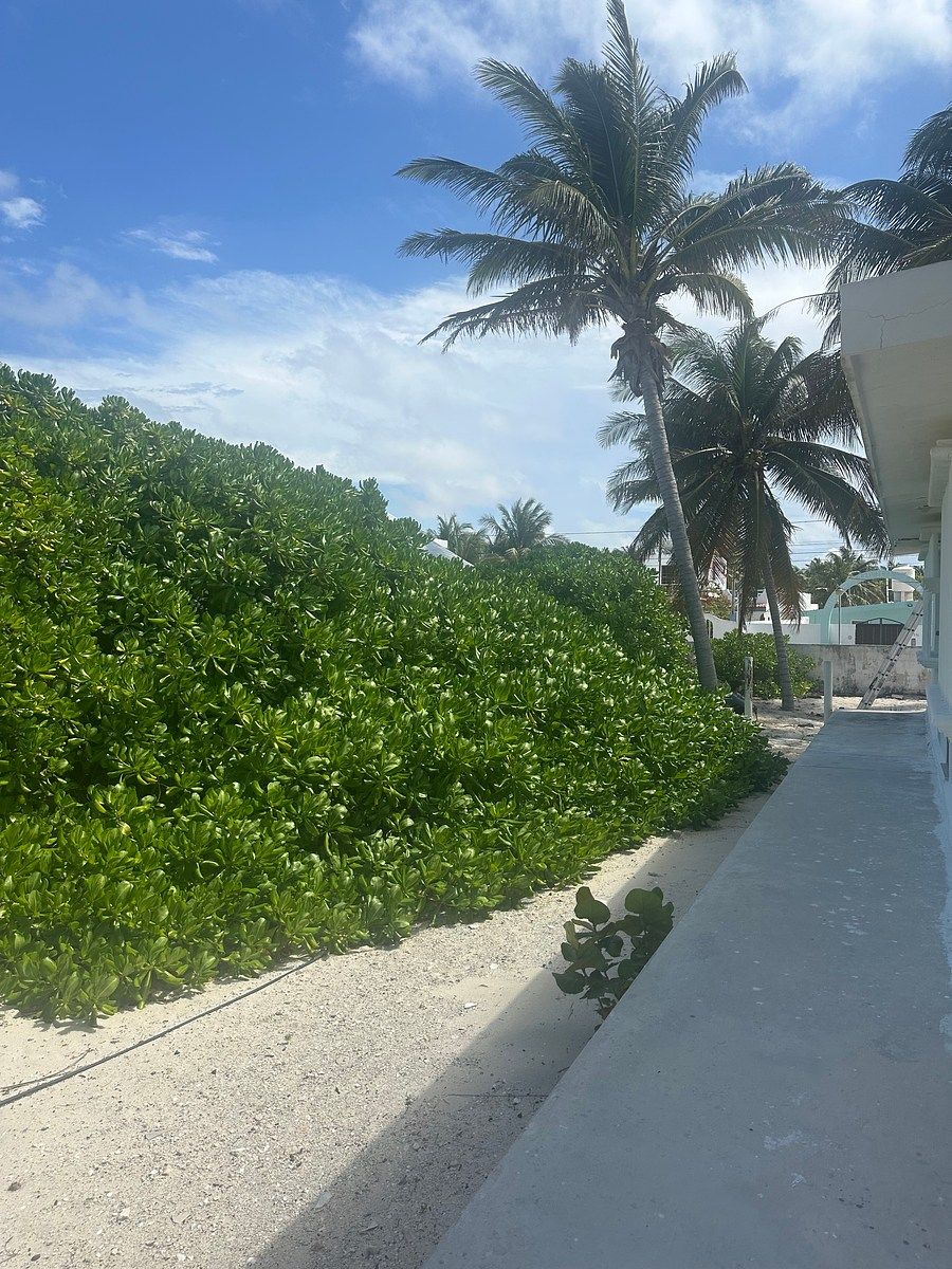 Casa en condominio en Chelem, Progreso, foto 7 de 7