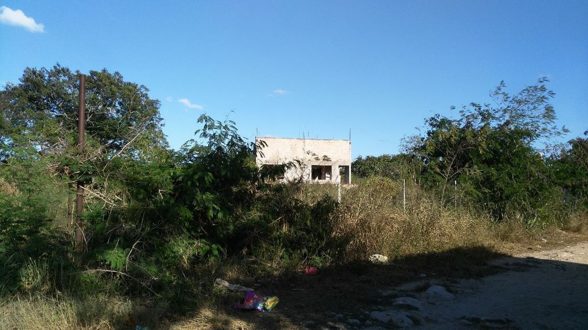 Lote em Leona Vicario, Kanasín, foto 11 de 19