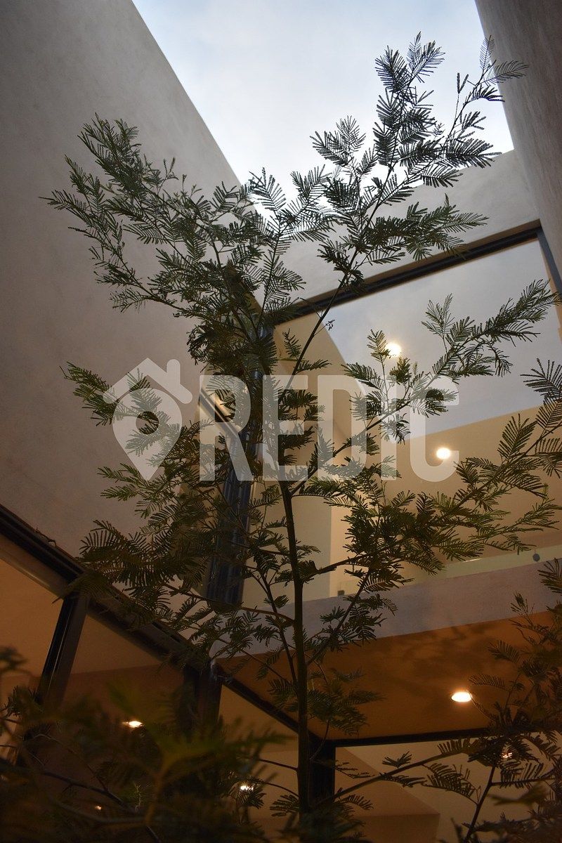 Casa em Altozano el Nuevo Querétaro, Querétaro, foto 6 de 14
