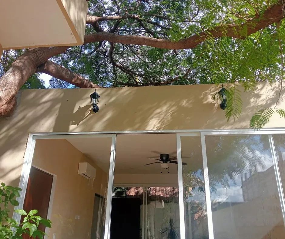 Casa en Mérida Centro, Mérida, foto 31 de 31