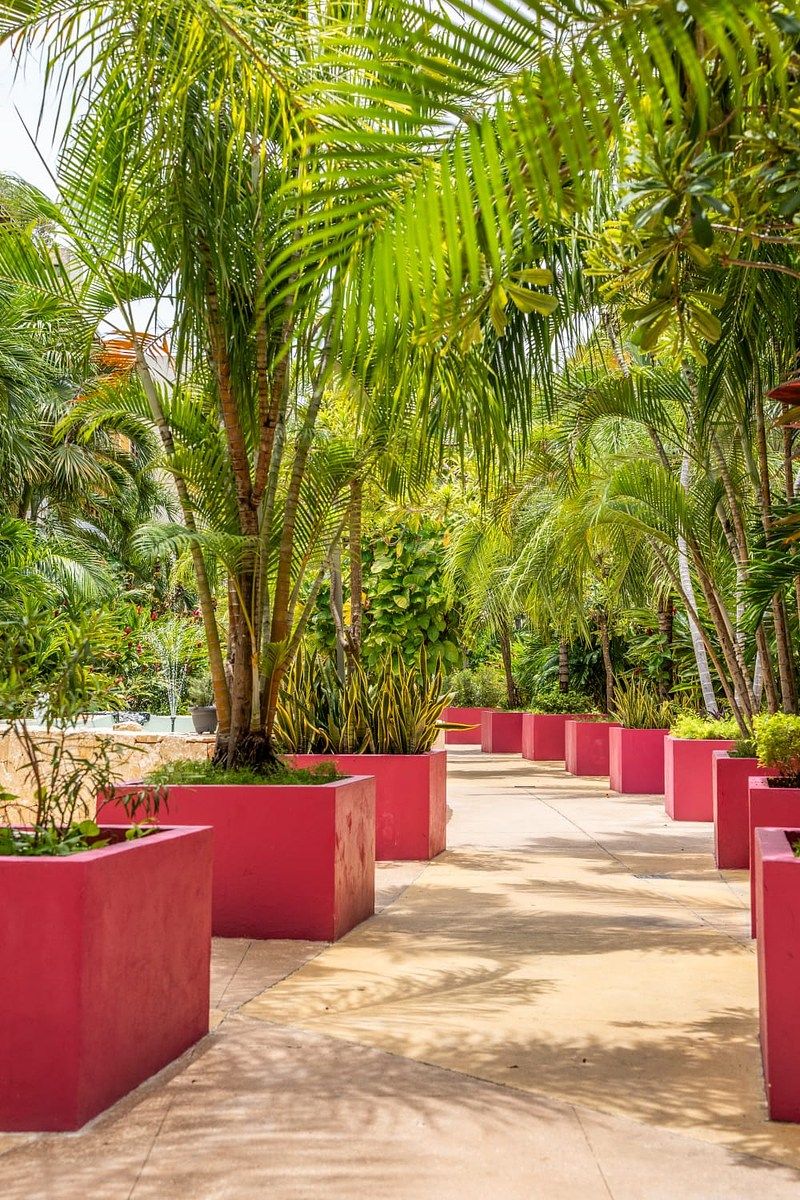 Departamento en Gonzalo Guerrero, Playa del Carmen, foto 4 de 32