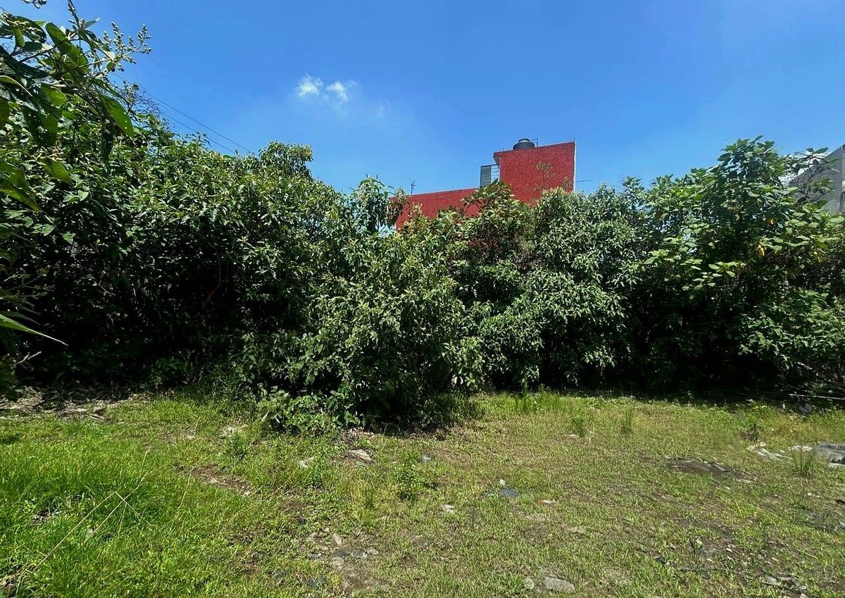Lote em Santa María Tepepan, Xochimilco, foto 3 de 13