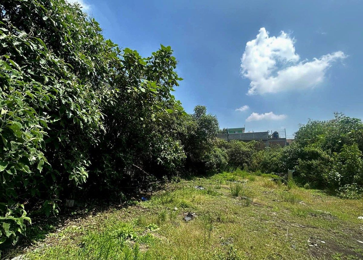 Lote em Santa María Tepepan, Xochimilco, foto 5 de 13