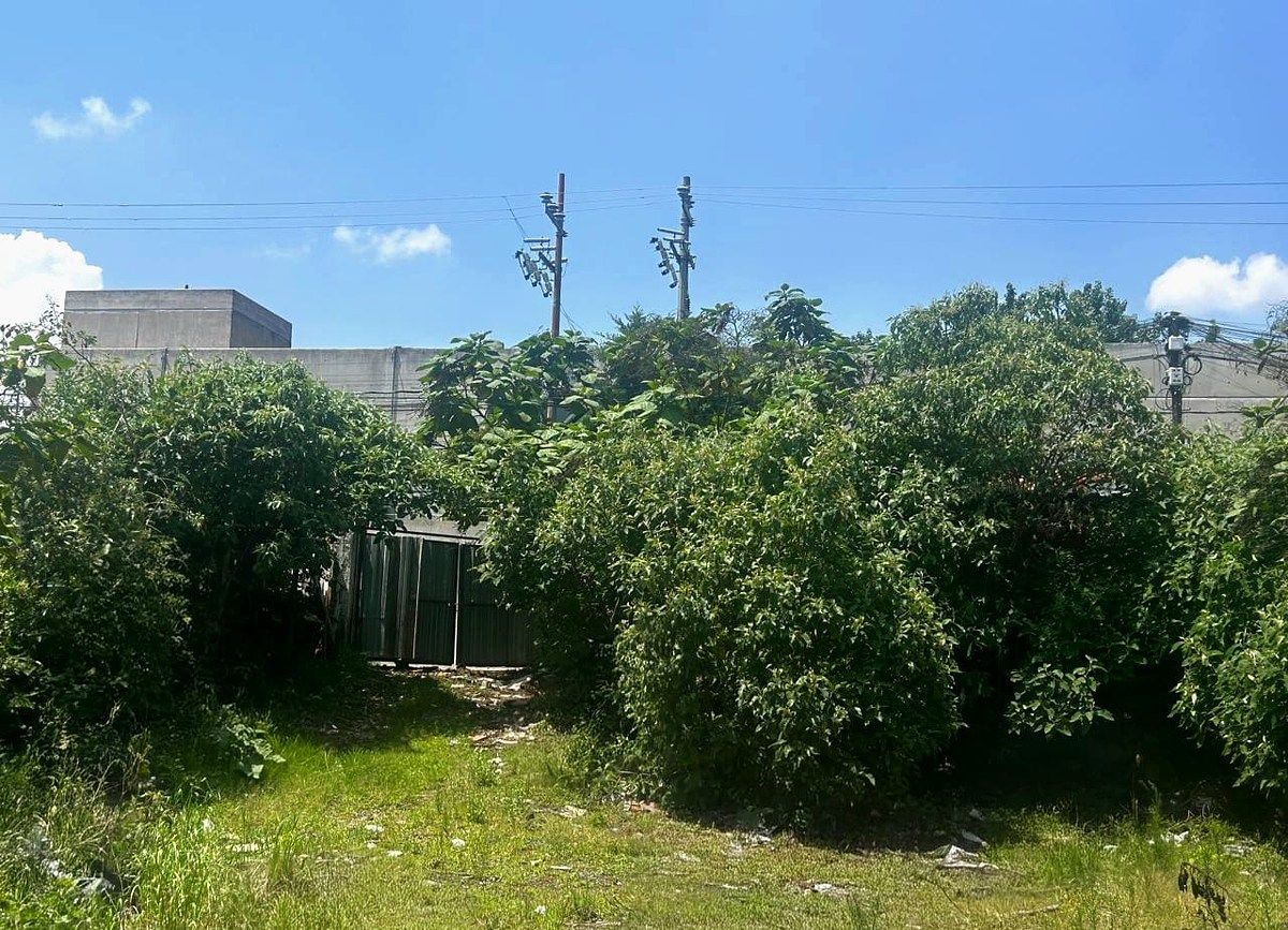 Lote em Santa María Tepepan, Xochimilco, foto 12 de 13