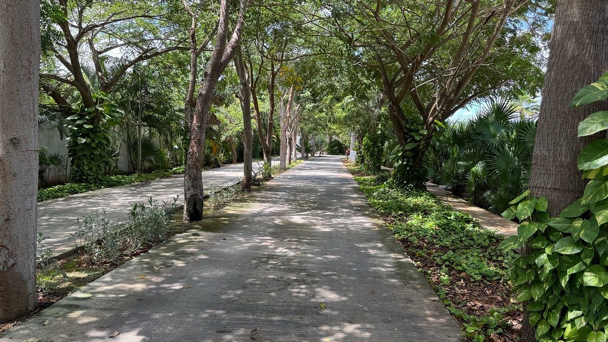 Lote em Cholul, Mérida, foto 12 de 17