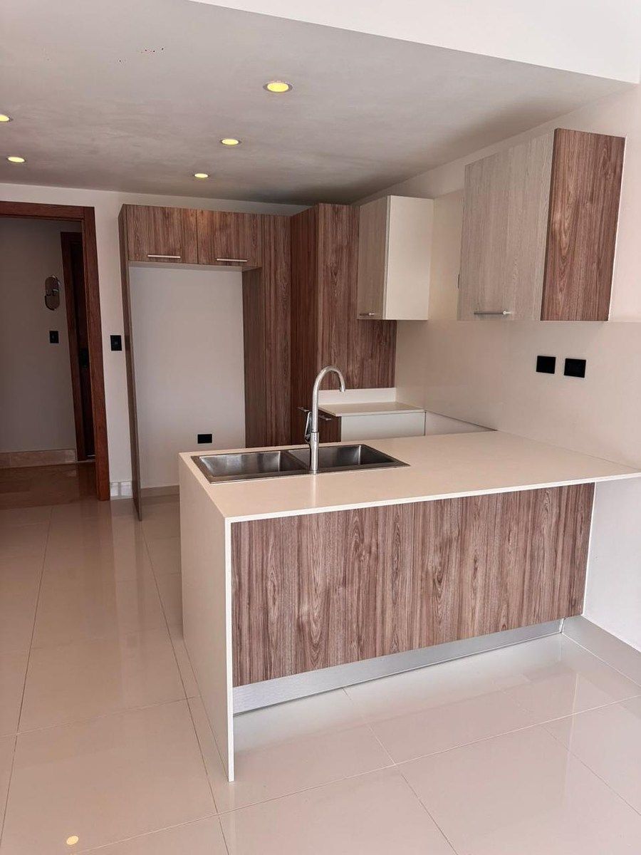 Apartamento en Ensanche Serrallés, Santo Domingo Centro (Distrito Nacional), foto 5 de 12
