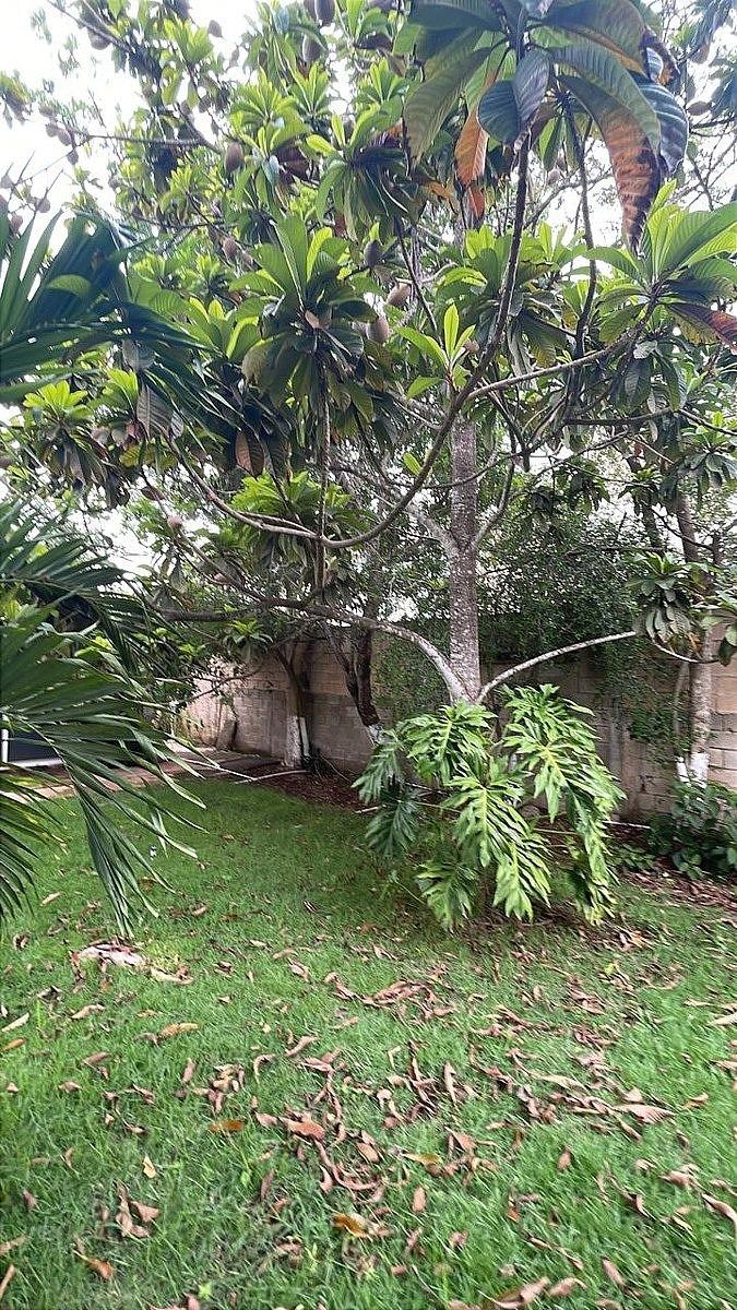 House in Cholul, Mérida, photo 8 of 24