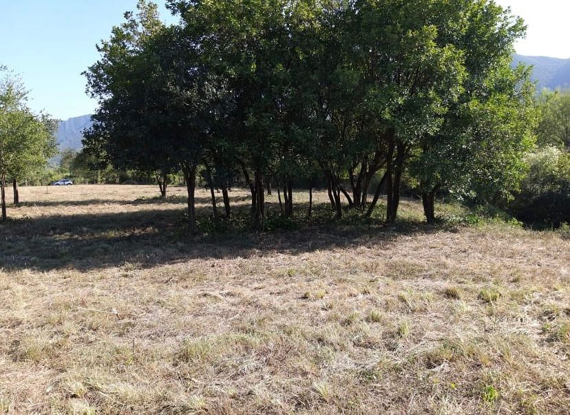 Lote em Los Rodriguez, Santiago, foto 7 de 9