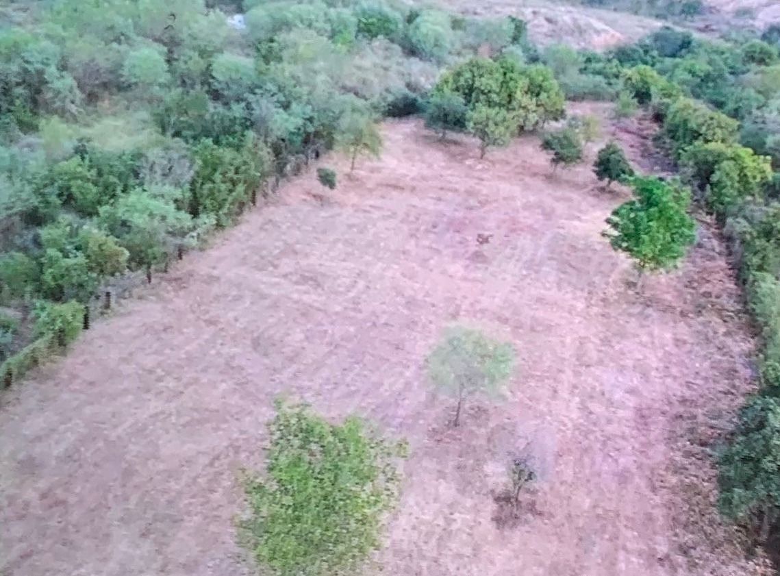 Lote em Los Rodriguez, Santiago, foto 8 de 9