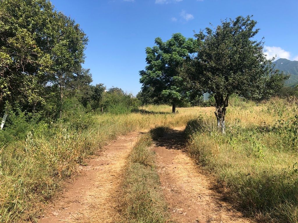 Lote em Los Rodriguez, Santiago, foto 3 de 9