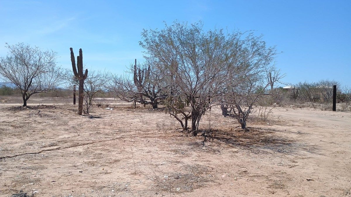 Terreno en El Centenario, La Paz, foto 2 de 3