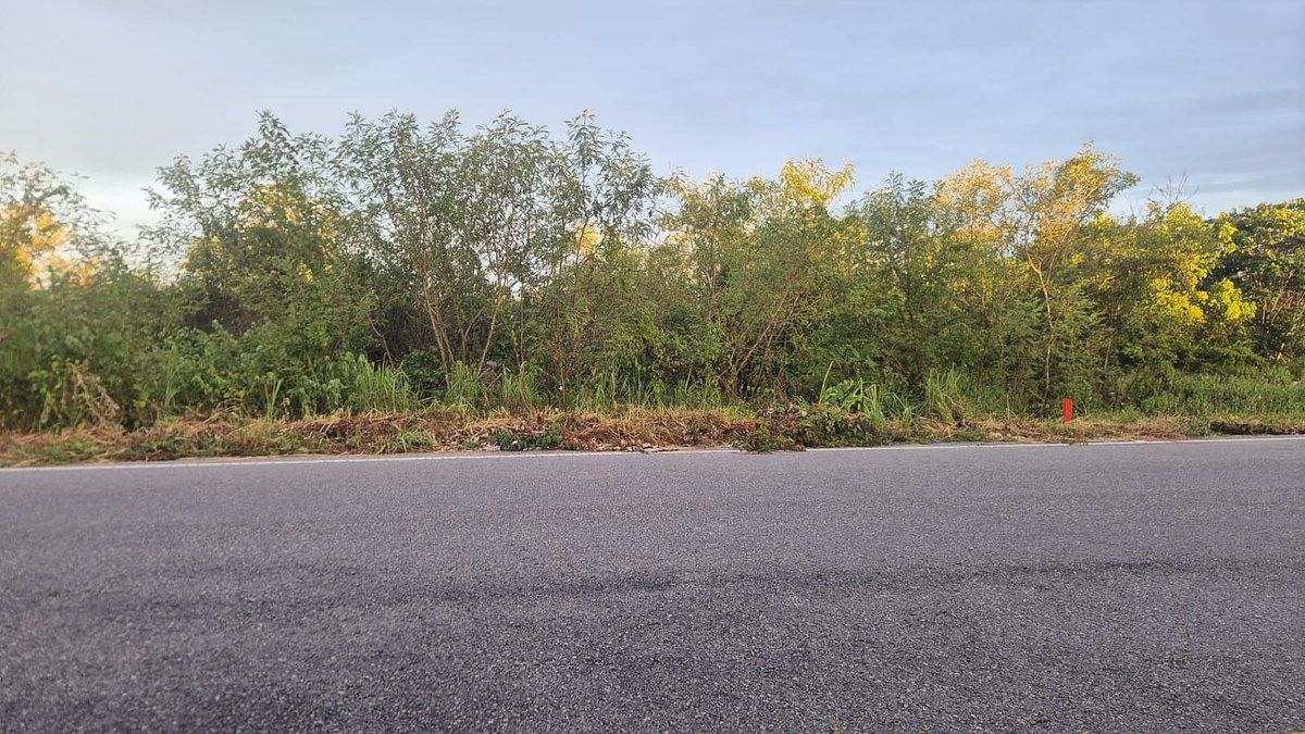 Lot in Tetiz, Tetiz, photo 6 of 8