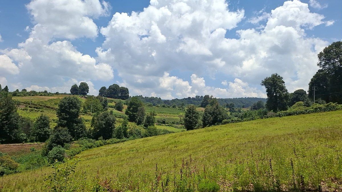 Terreno en La Esperanza, Villa del Carbón, foto 7 de 7