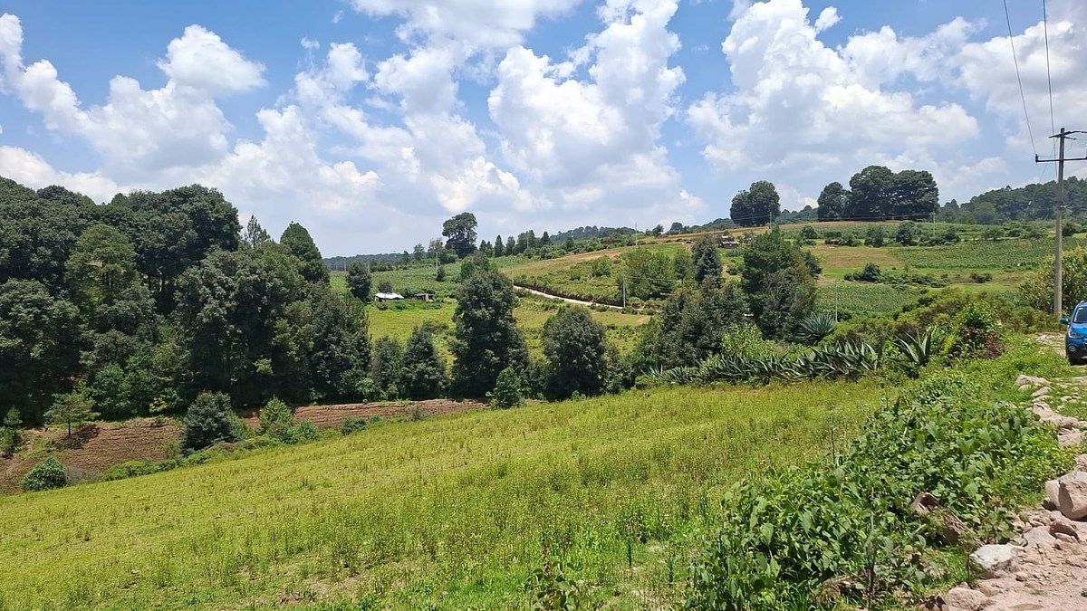 Terreno en La Esperanza, Villa del Carbón, foto 4 de 7