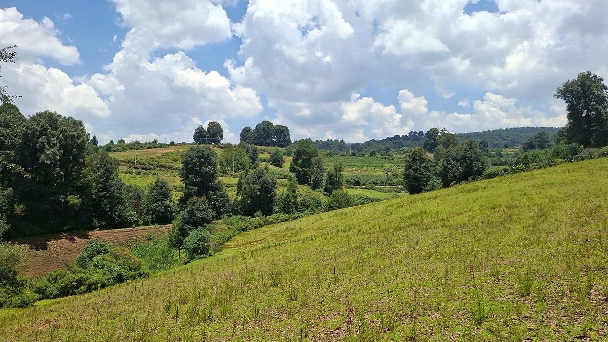 VENTA TERRENO EN LA ESPERANZA, VILLA DEL CARBÓN, foto 1 de 7