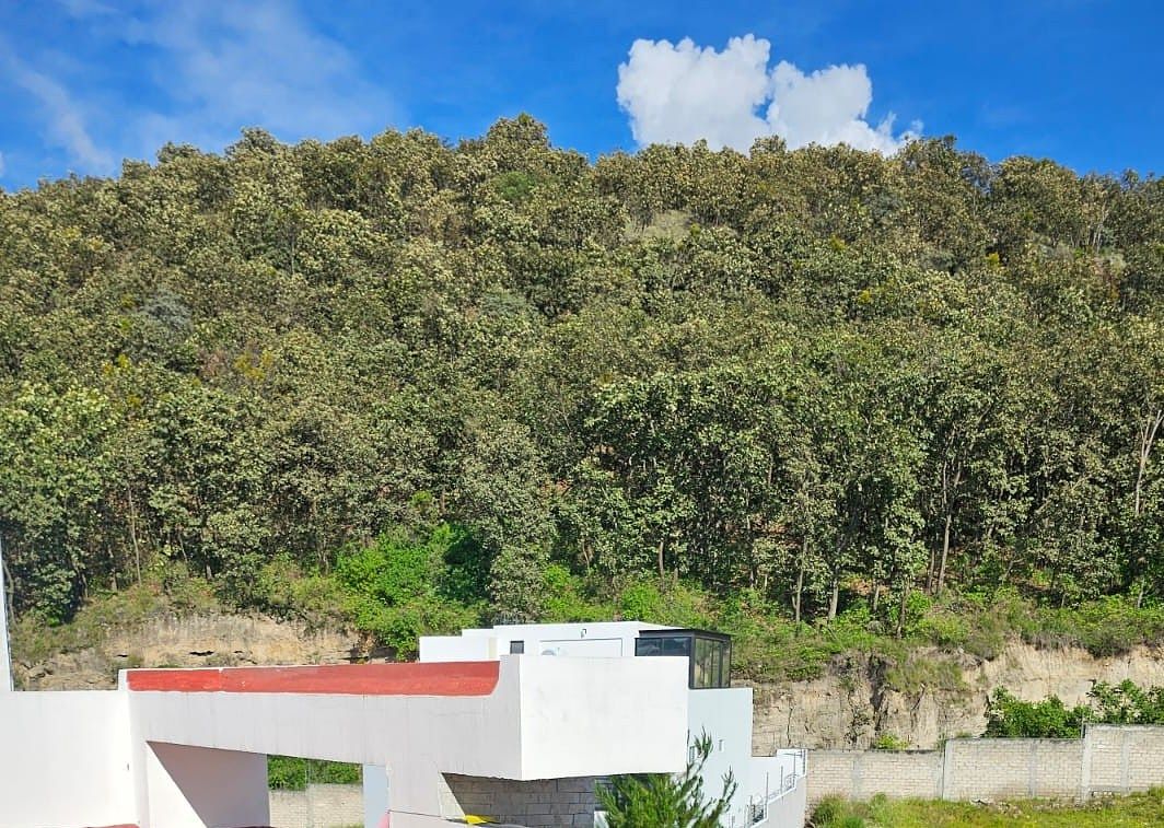 Casa em Los Robles Residencial, Zapopan, foto 15 de 15