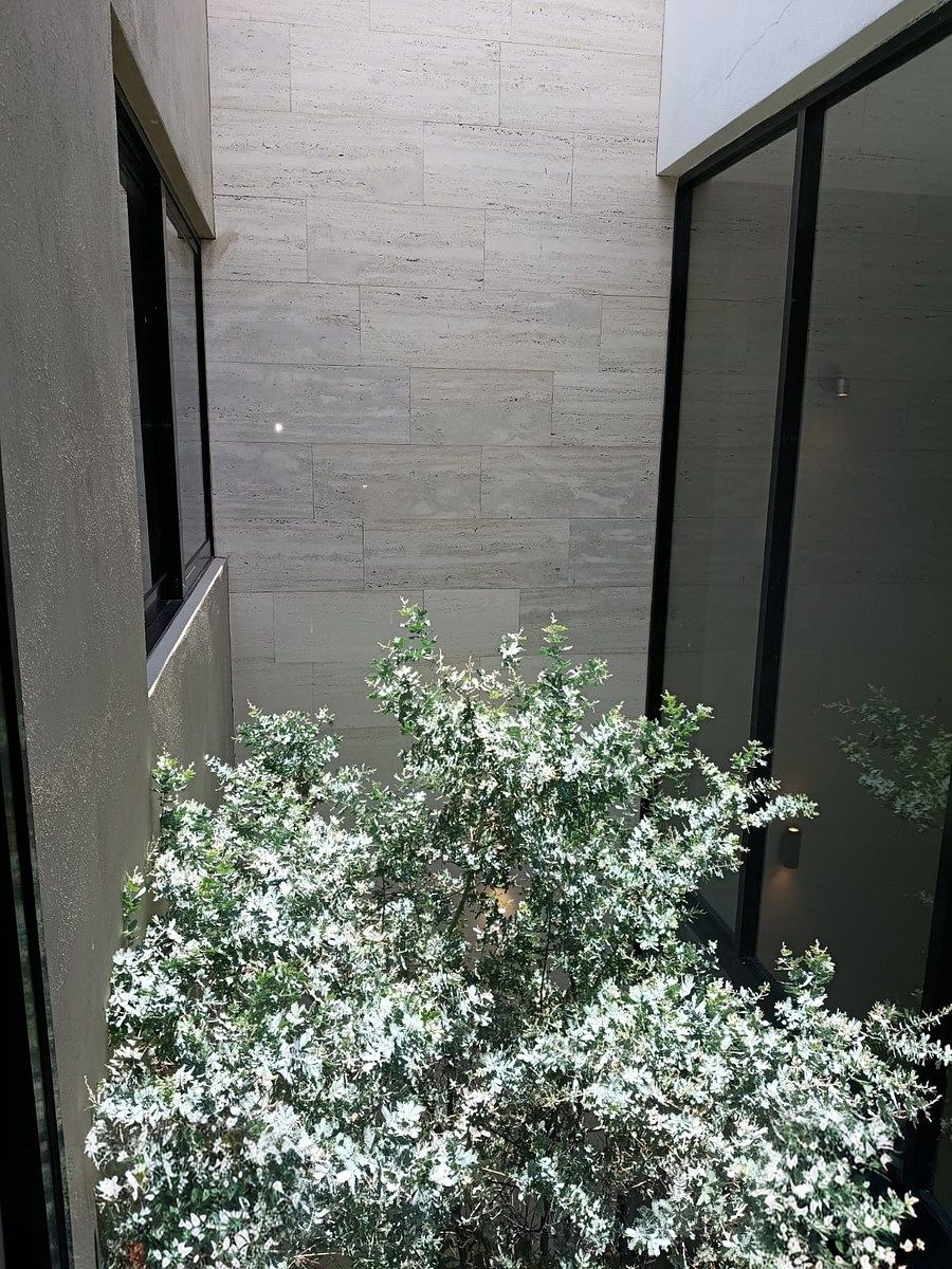 Casa em San Ángel, San Luis Potosí, foto 12 de 50
