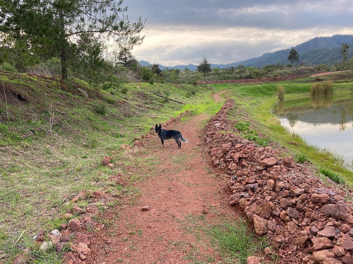 Lote em Santa Teresa Tilostoc, Valle de Bravo, foto 25 de 46