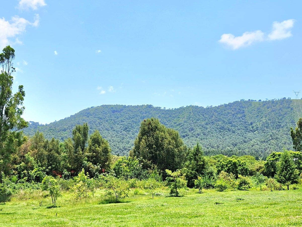 Lote em Santa Teresa Tilostoc, Valle de Bravo, foto 45 de 46
