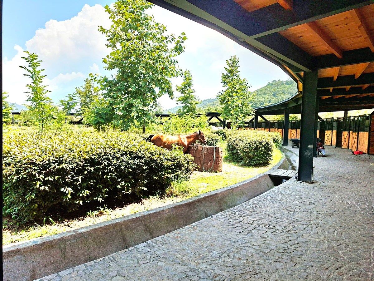 Lote em Santa Teresa Tilostoc, Valle de Bravo, foto 46 de 46